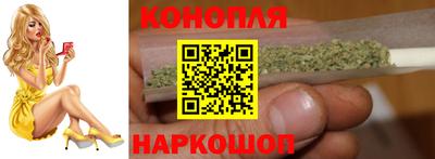 Альфа ПВП Будённовск