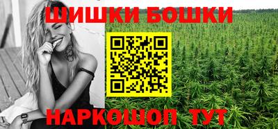 Альфа ПВП Будённовск