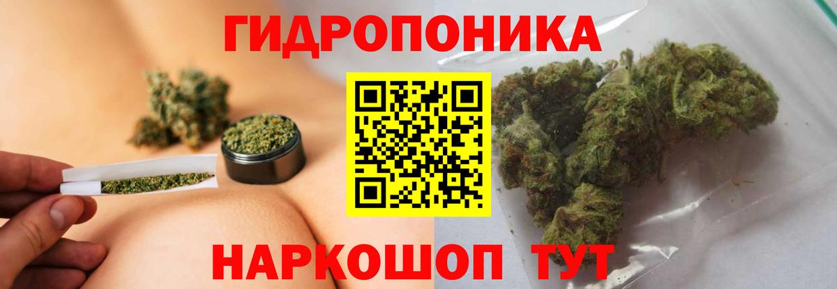 Канабис Amnesia  МАРИХУАНА конопля  Тара  Вход с VPN  Бошки марихуана VHQ 